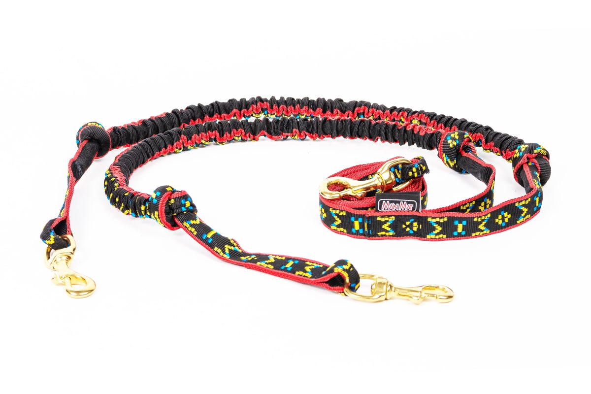 49) Ski snura pro 2 psy G